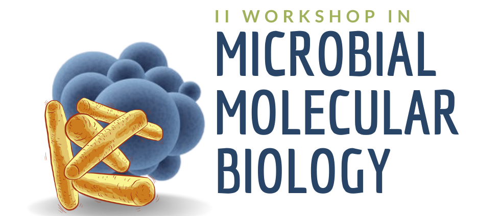 Workshop Microbial Biology
